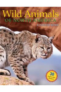 Wild Animals of North America