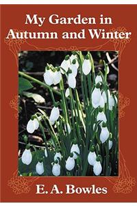 My Garden in Autumn and Winter