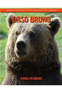 Orso bruno