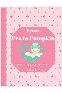 From Pea to Pumkin