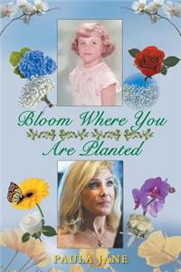 Bloom Where You Are Planted