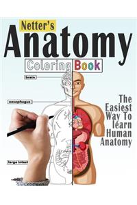 Netter's Anatomy Coloring Book