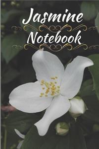 Jasmine Notebook: Notebook 6x9inches 120 pages. Paper in a line.Perfect gift idea.For people with a sense of humor. Designed for people named Jasmine, but not only.Al