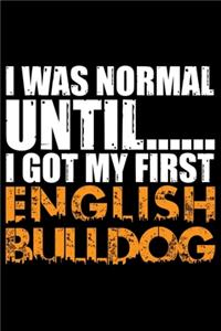 I Was Normal Until I Got My First English Bulldog