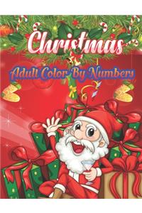 Christmas Adult Color By Numbers