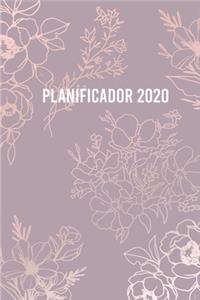 Planificador 2020