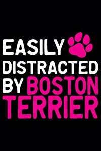 Easily Distracted by Boston Terrier