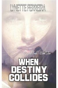 When Destiny Collides: Reincarnation Fiction