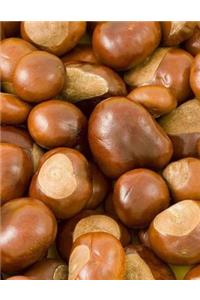 Chestnuts Notebook Large Size 8.5 x 11 Ruled 150 Pages Softcover