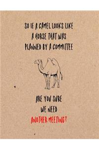 So If a Camel Looks Like a Horse That Was Planned by a Committee Are You Sure We Need Another Meeting?