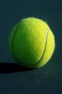 Tennis Ball Notebook
