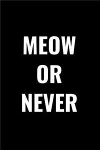 Meow or Never