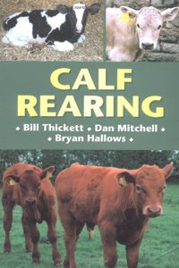 Calf Rearing