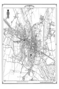 Salisbury 1880 Heritage Cartography Victorian Town Map