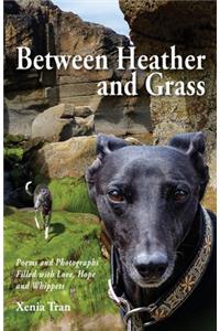 Between Heather and Grass