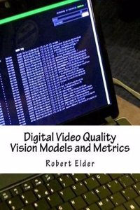 Digital Video Quality Vision Models and Metrics