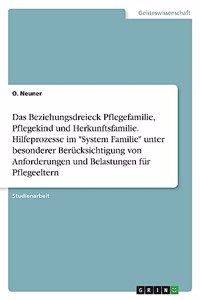 Beziehungsdreieck Pflegefamilie, Pflegekind und Herkunftsfamilie. Hilfeprozesse im "System Familie" unter besonderer Berücksichtigung von Anforderungen und Belastungen für Pflegeeltern