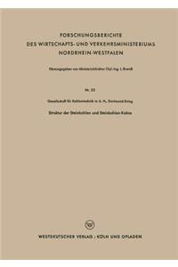 Struktur Der Steinkohlen Und Steinkohlen-Kokse