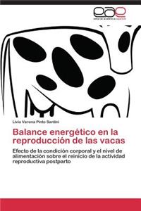 Balance energético en la reproducción de las vacas