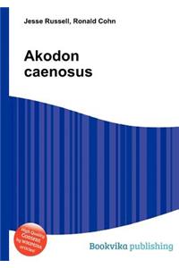 Akodon Caenosus