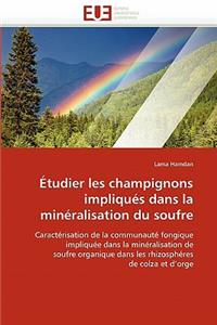 Étudier Les Champignons Impliqués Dans La Minéralisation Du Soufre