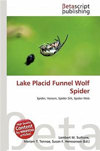 Lake Placid Funnel Wolf Spider