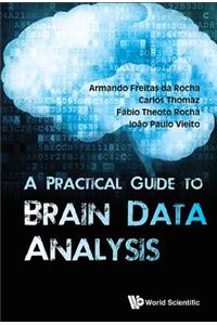 Practical Guide to Brain Data Analysis