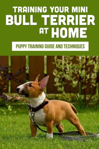 Training Your Mini Bull Terrier At Home