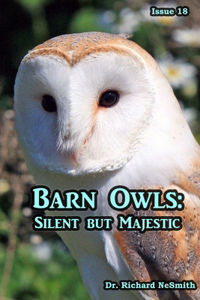 Barn Owls