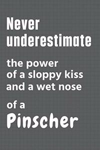 Never underestimate the power of a sloppy kiss and a wet nose of a Pinscher: For Pinscher Dog Fans