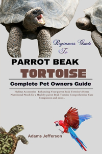 Parrot Beak Tortoise