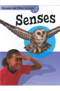 Senses