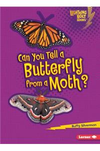 Can You Tell a Butterfly from a Moth?