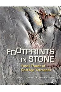 Footprints in Stone