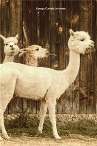 Alpaga Carnet de notes