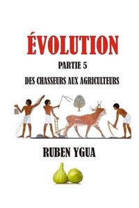 Des Chasseurs Aux Agriculteurs