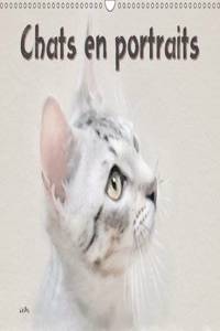 Chats En Portraits 2017