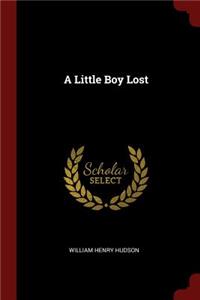 A Little Boy Lost