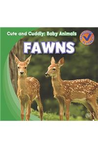 Fawns