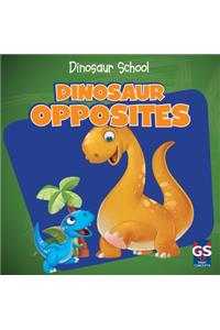 Dinosaur Opposites