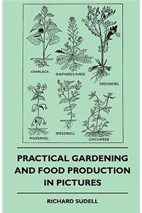 Practical Gardening And Food Production In Pictures