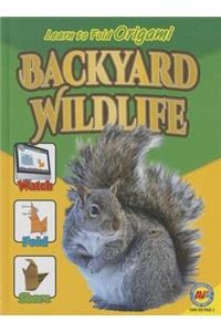 Backyard Wildlife