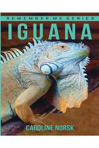 Iguana