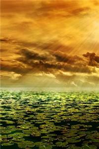Sunbeam Over the Lily Pads, for the Love of Nature