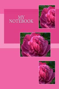 My Notebook