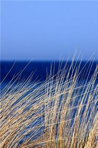 Sea Grass on the Dunes by the Coast Journal