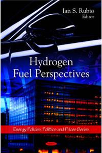 Hydrogen Fuel Perspectives