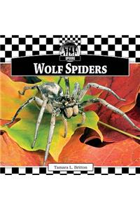 Wolf Spiders