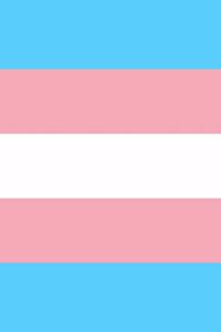 Transgender Pride Flag Journal