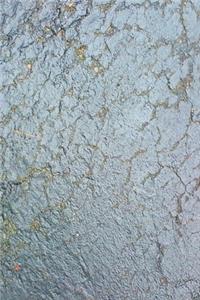 2020 Daily Planner Wet Blacktop 388 Pages